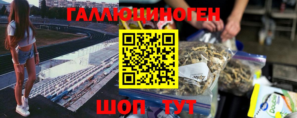 Псилоцибиновые грибы Psilocybe  Вход с VPN  Азнакаево 