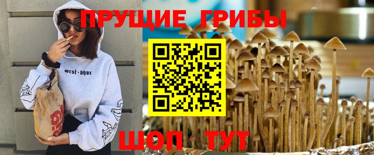 Псилоцибиновые грибы мицелий Азнакаево